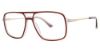Picture of Stetson Eyeglasses 370