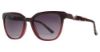 Picture of Via Spiga Sunglasses 355-S