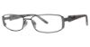 Picture of Via Spiga Eyeglasses Antonella