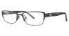 Picture of Via Spiga Eyeglasses Carina