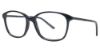 Picture of Via Spiga Eyeglasses Carmella