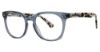 Picture of Via Spiga Eyeglasses Peppina
