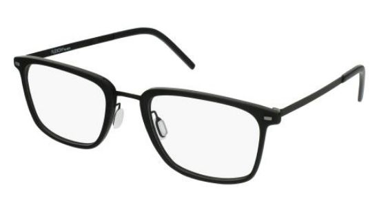 Picture of Flexon Eyeglasses B2023