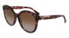 Picture of Longchamp Sunglasses LO671S