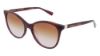 Picture of Longchamp Sunglasses LO688S