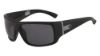 Picture of Dragon Sunglasses DR VANTAGE LL H2O POLAR