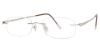 Picture of Invincilites Eyeglasses Zeta R