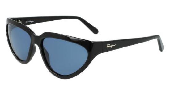 Picture of Salvatore Ferragamo Sunglasses SF1017S