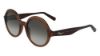 Picture of Salvatore Ferragamo Sunglasses SF978S