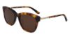 Picture of Calvin Klein Sunglasses CK19524S