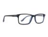 Picture of Rip Curl Eyeglasses RC 4002