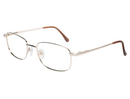 Picture of Durango Series Eyeglasses DUSTY
