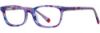 Picture of db4k Eyeglasses Cupcake