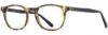 Picture of Elements Eyeglasses EL-356
