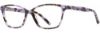 Picture of Scott Harris Eyeglasses SH-502