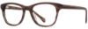 Picture of Scott Harris Eyeglasses SH-664