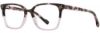 Picture of Scott Harris Eyeglasses SH-674