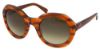 Picture of Elizabeth Arden Sunglasses EA 5248