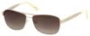 Picture of Elizabeth Arden Sunglasses EA 5254