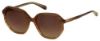 Picture of Elizabeth Arden Sunglasses EA 5267