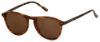 Picture of Elizabeth Arden Sunglasses EA 5269