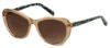 Picture of Elizabeth Arden Sunglasses EA 5274
