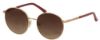 Picture of Elizabeth Arden Sunglasses EA 5276