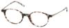 Picture of Moleskine Eyeglasses MO 1100