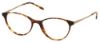 Picture of Moleskine Eyeglasses MO 1102