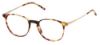 Picture of Moleskine Eyeglasses MO 1103