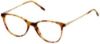 Picture of Moleskine Eyeglasses MO 1115