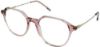 Picture of Moleskine Eyeglasses MO 1150