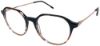 Picture of Moleskine Eyeglasses MO 1150