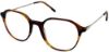 Picture of Moleskine Eyeglasses MO 1150