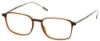 Picture of Moleskine Eyeglasses MO 3101