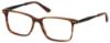 Picture of Perry Ellis Eyeglasses PE 379