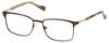 Picture of Perry Ellis Eyeglasses PE 399