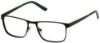 Picture of Perry Ellis Eyeglasses PE 415