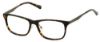 Picture of Perry Ellis Eyeglasses PE 419