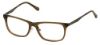 Picture of Perry Ellis Eyeglasses PE 419