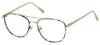 Picture of Perry Ellis Eyeglasses PE 426