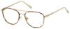Picture of Perry Ellis Eyeglasses PE 426