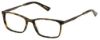Picture of Perry Ellis Eyeglasses PE 427