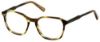 Picture of Perry Ellis Eyeglasses PE 431
