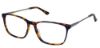 Picture of Perry Ellis Eyeglasses PE 434