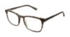 Picture of Perry Ellis Eyeglasses PE 443