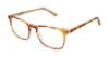Picture of Perry Ellis Eyeglasses PE 443