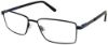 Picture of Perry Ellis Eyeglasses PE 446