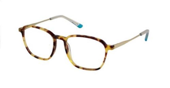 Picture of Psycho Bunny Eyeglasses PB 101
