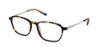 Picture of Psycho Bunny Eyeglasses PB 101